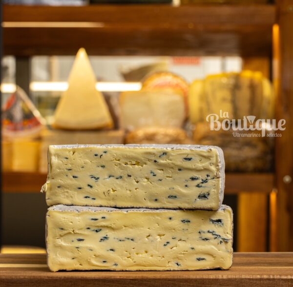 QUESO MONTAGNOLO DOP