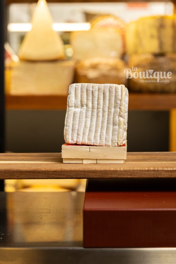 BRILLAT SAVARIN 100GR